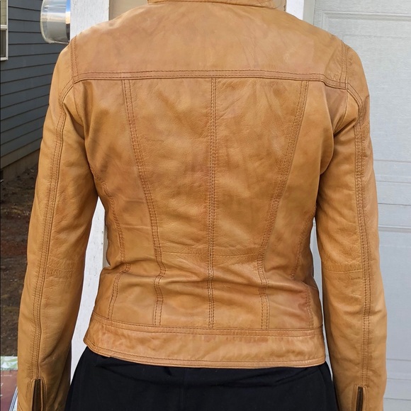 Jacket - Picture 2 of 2